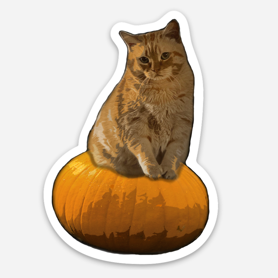 Pumpkin Cat Sticker - Timmy the Chonk on Pumpkin