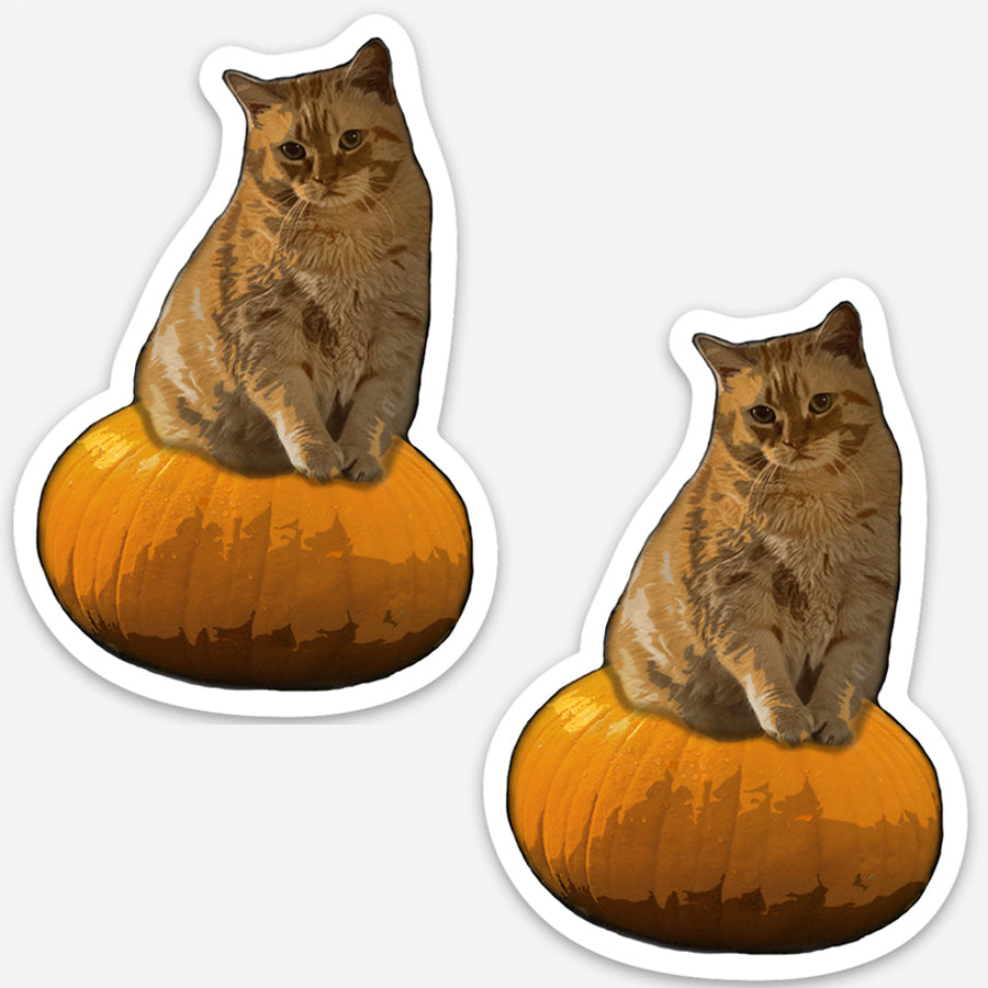 Pumpkin Cat Sticker - Timmy the Chonk on Pumpkin